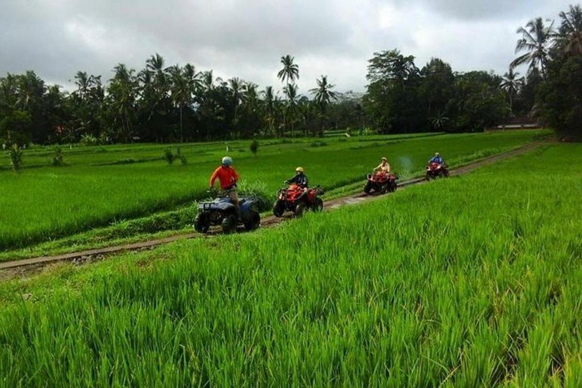 Un grupo de personas viajando en quads por un campo.