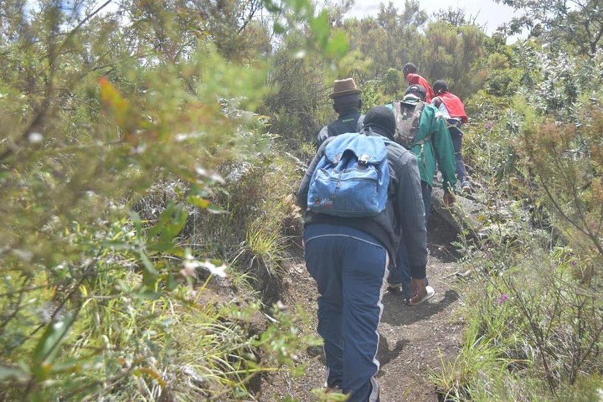 un grup de persones caminant per un sender