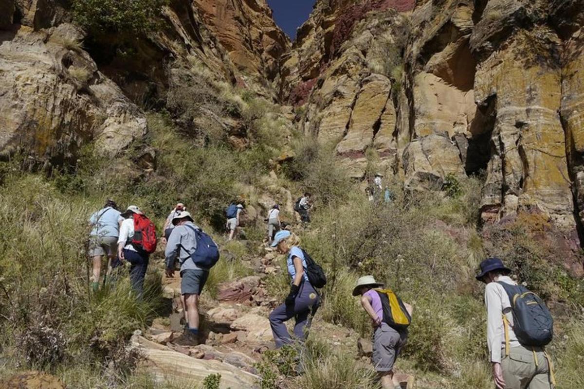 a group of people walking on a mountain trail