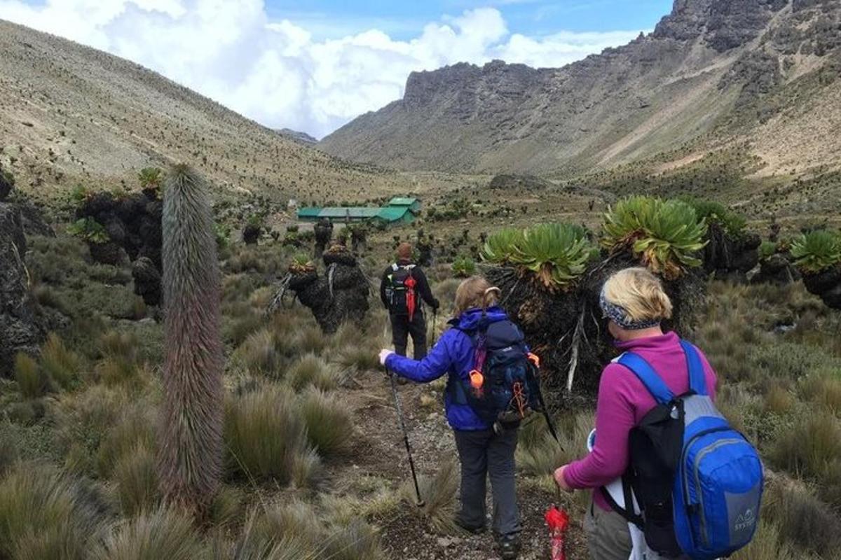 um grupo de pessoas caminhando em uma trilha nas montanhas