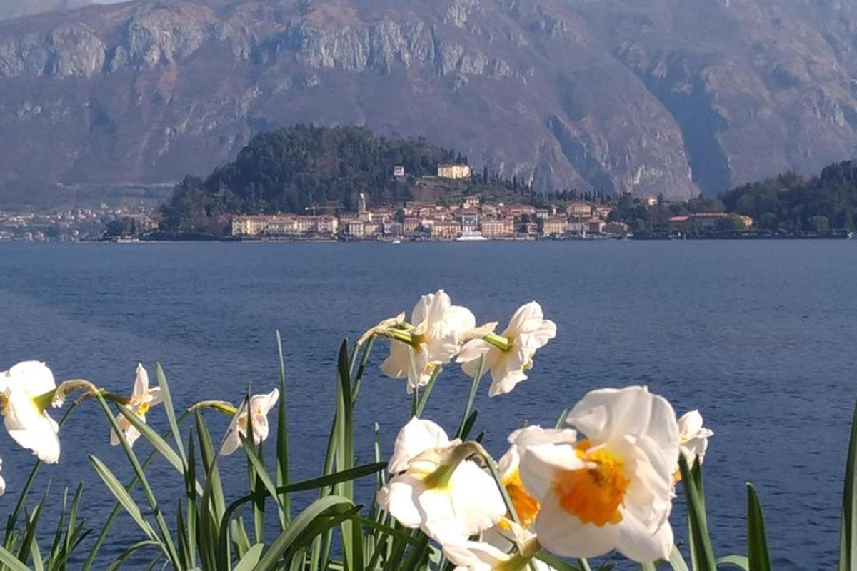 un mazzo di fiori bianchi davanti a uno specchio d'acqua