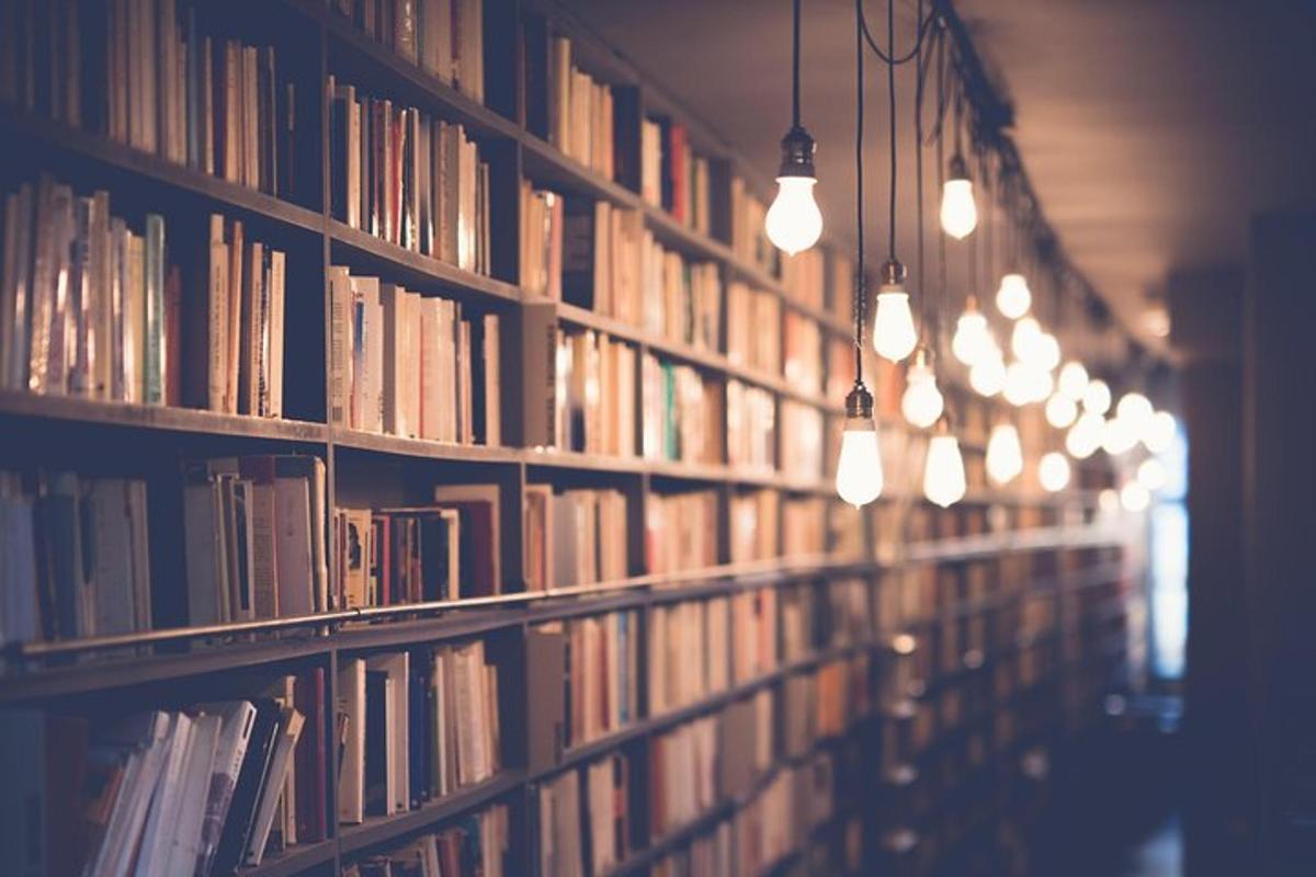 rząd bibliotecznych półek wypełnionych książkami