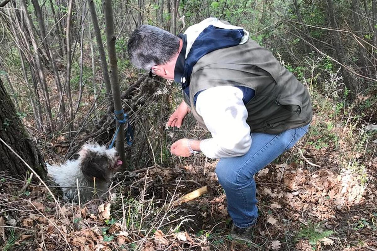 muž se v lese sklání, aby pohladil psa