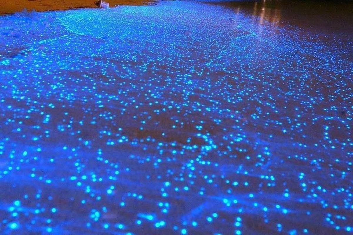 a pool of blue lights in the water
