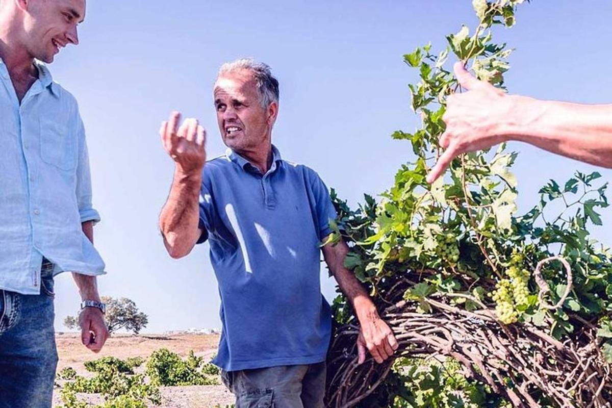 iki adam bir ağacın yanında duruyor