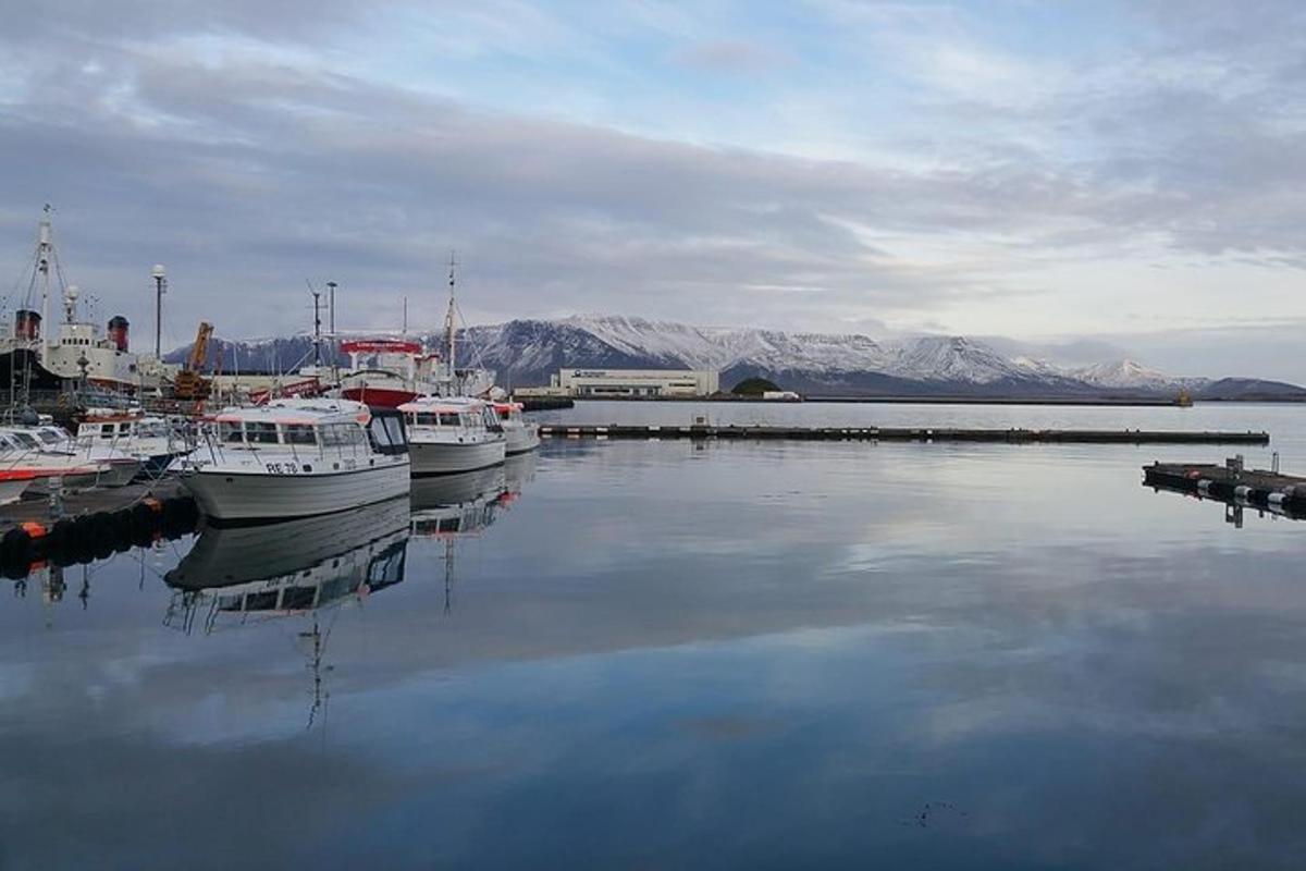 Dos barcos están atracados en un muelle en el agua.