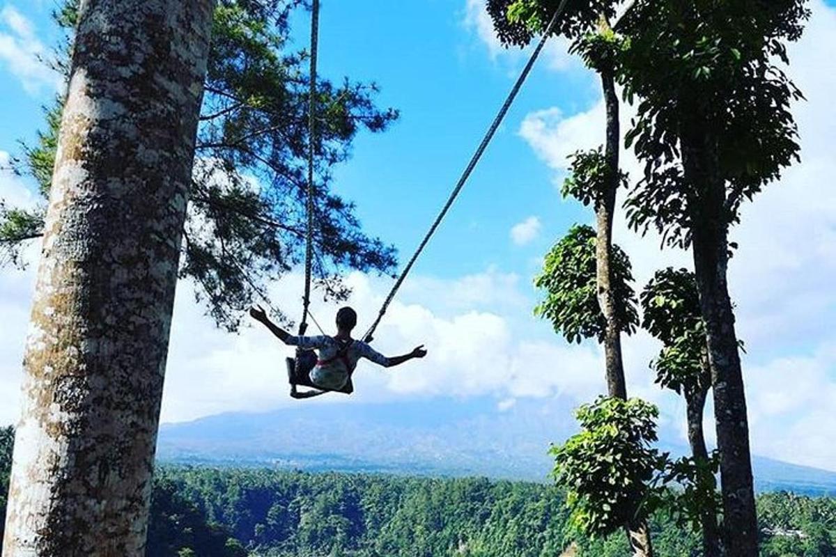 seorang lelaki berayun di atas buaian tali antara dua pokok