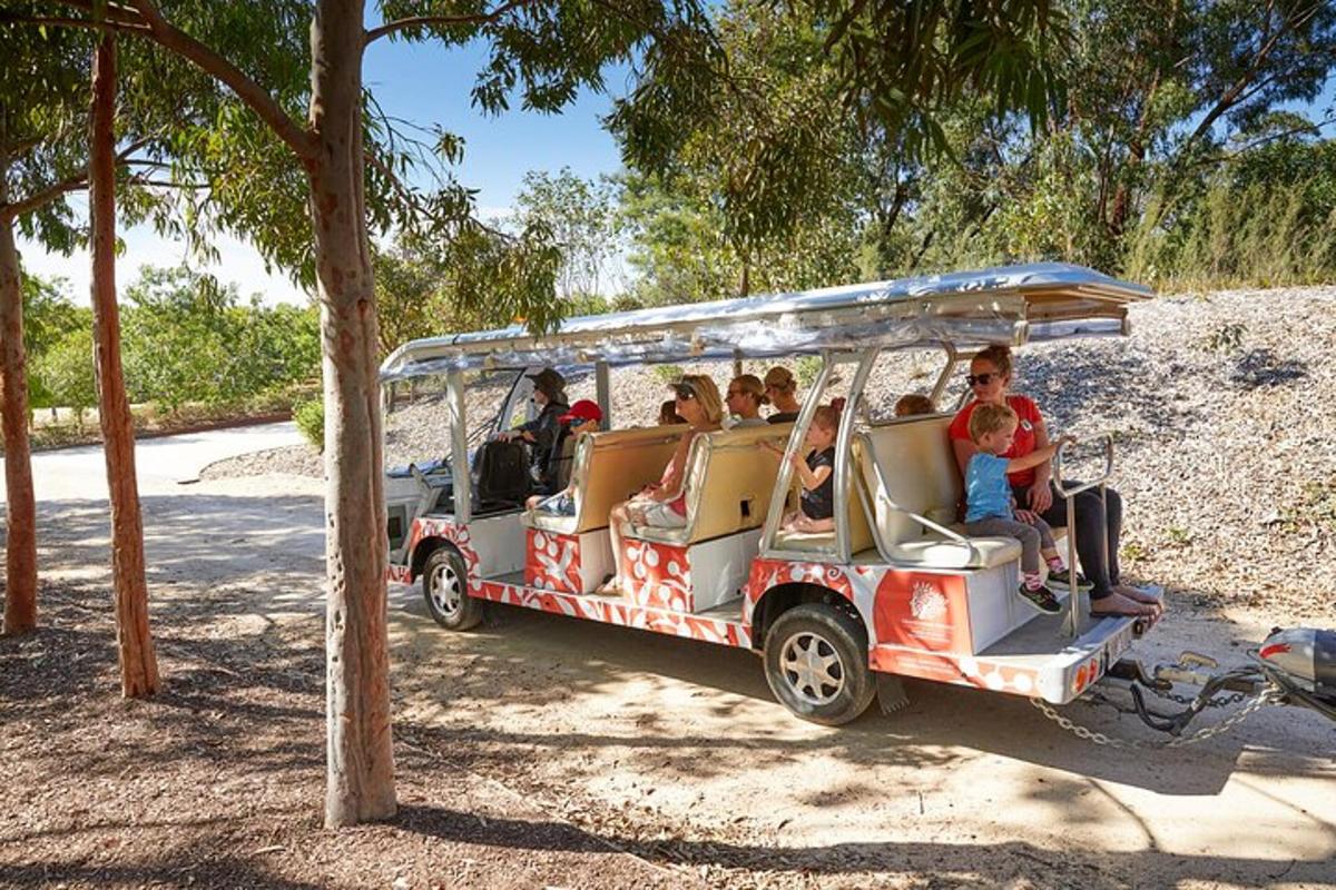 a group of people riding in a golf cart