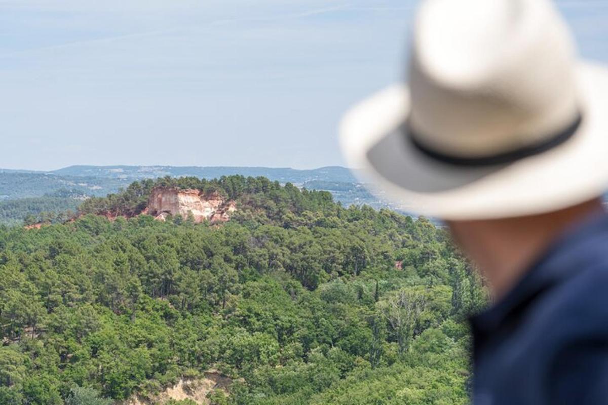 a person wearing a cowboy hat looking at a mountain