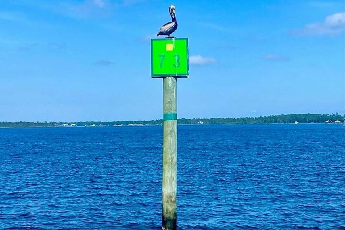 a bird sitting on top of a pole in the water