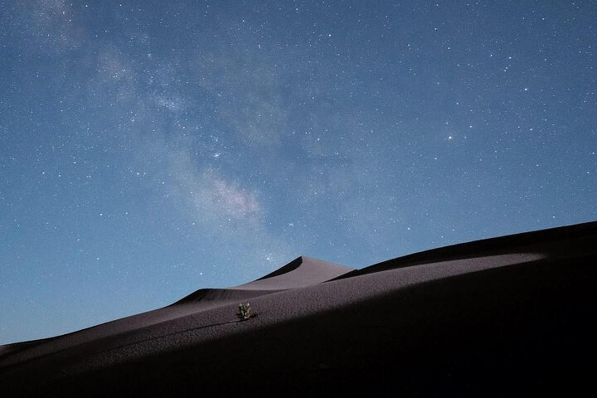 un oggetto appoggiato sulla cima di una duna di sabbia