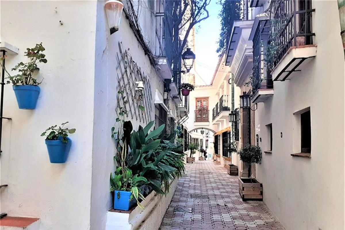 um beco com plantas em vasos na lateral de um prédio
