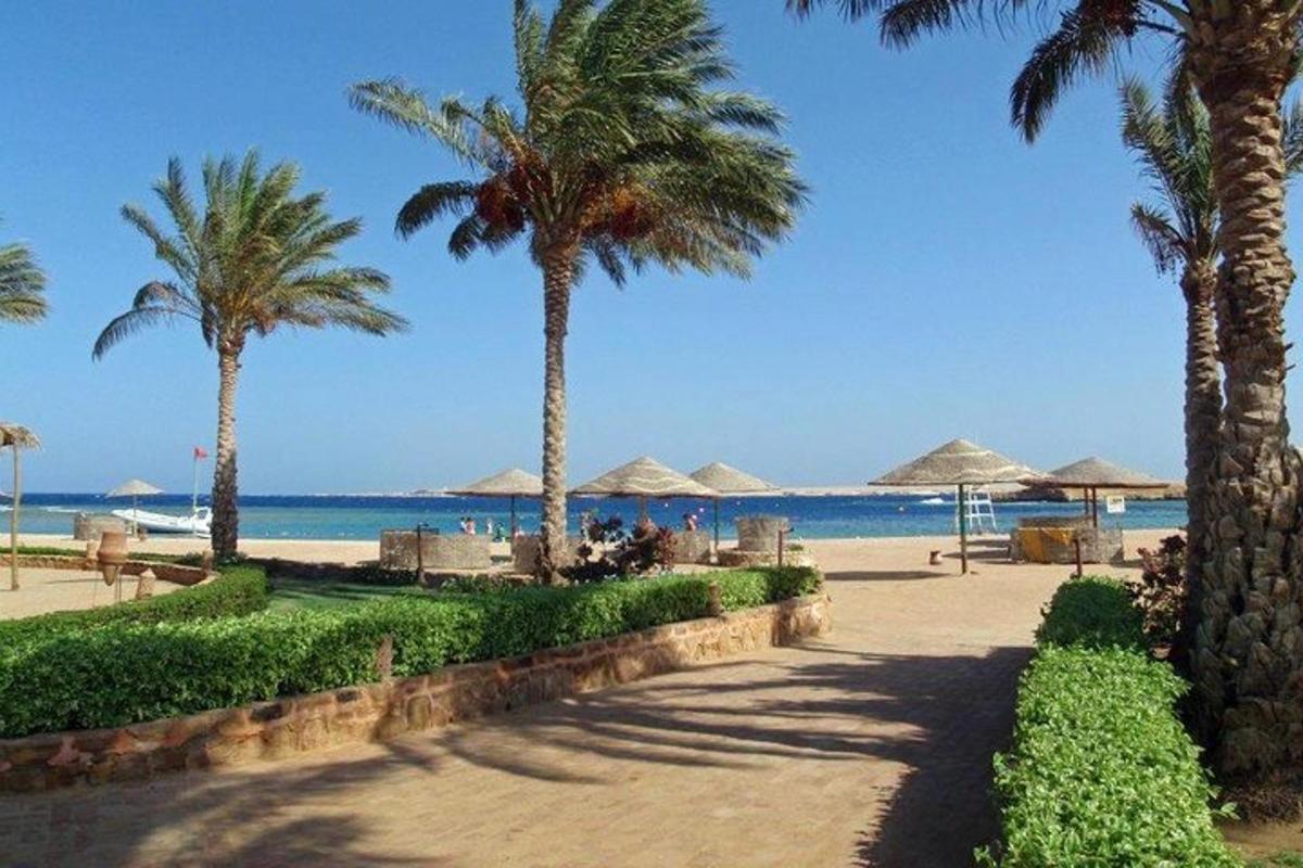 pantai dengan pokok palma dan payung dan lautan