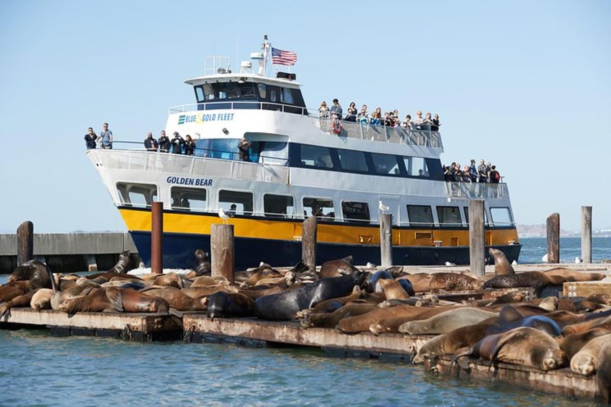 a cruise ship with a bunch of seals in front of it
