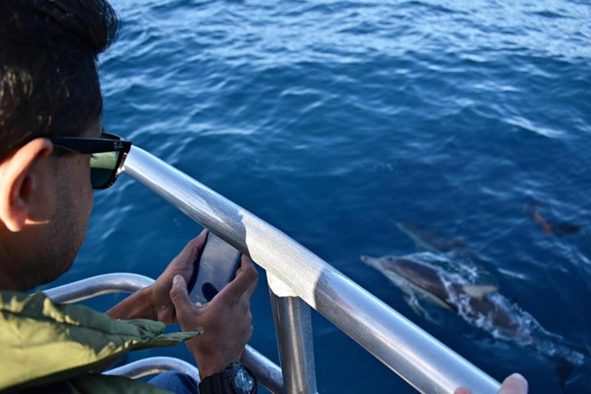 a man looking at a shark in the water