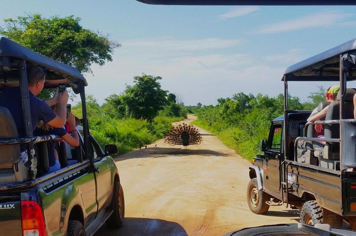 en gruppe mennesker i en jeep på en grusvei