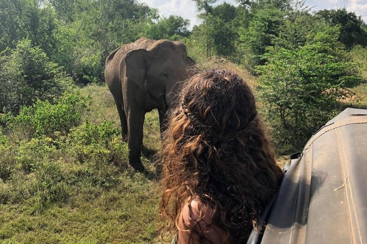 en kvinne som ser på en elefant foran en bil