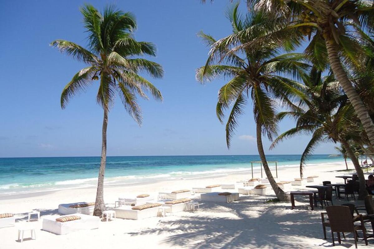una spiaggia con sedie e palme e l'oceano