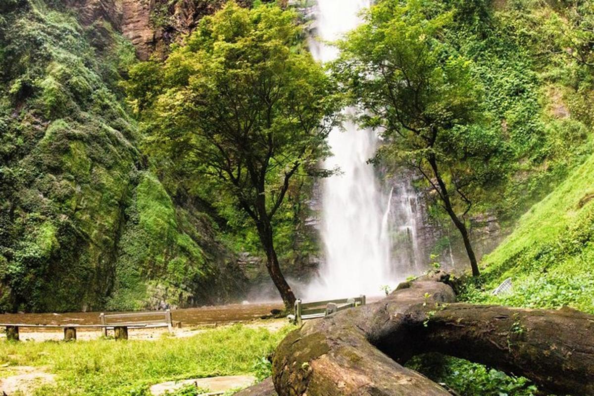 водоспад посеред лісу