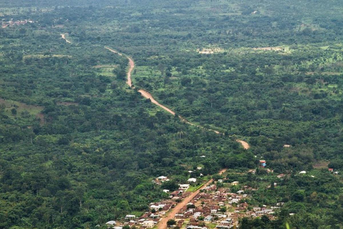 uma vista aérea de uma área florestal com uma estrada