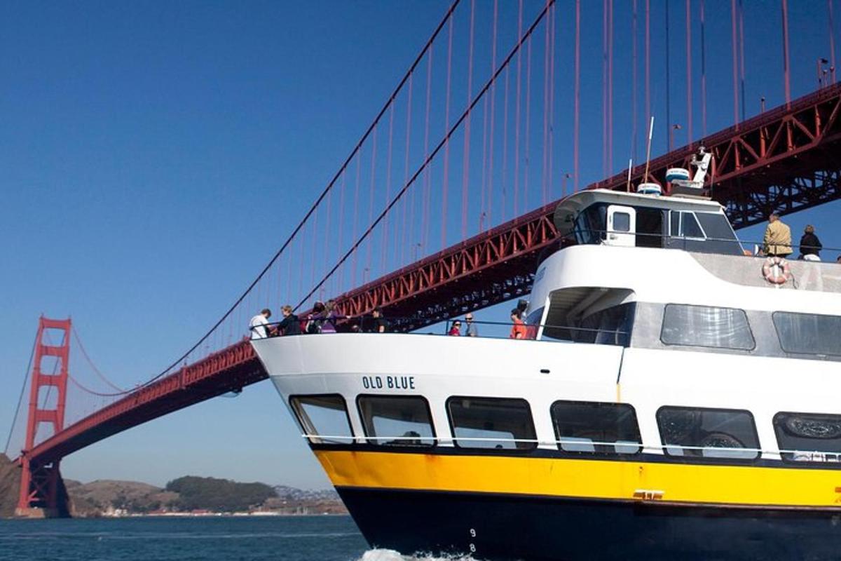 a cruise ship passing under the golden gate bridge