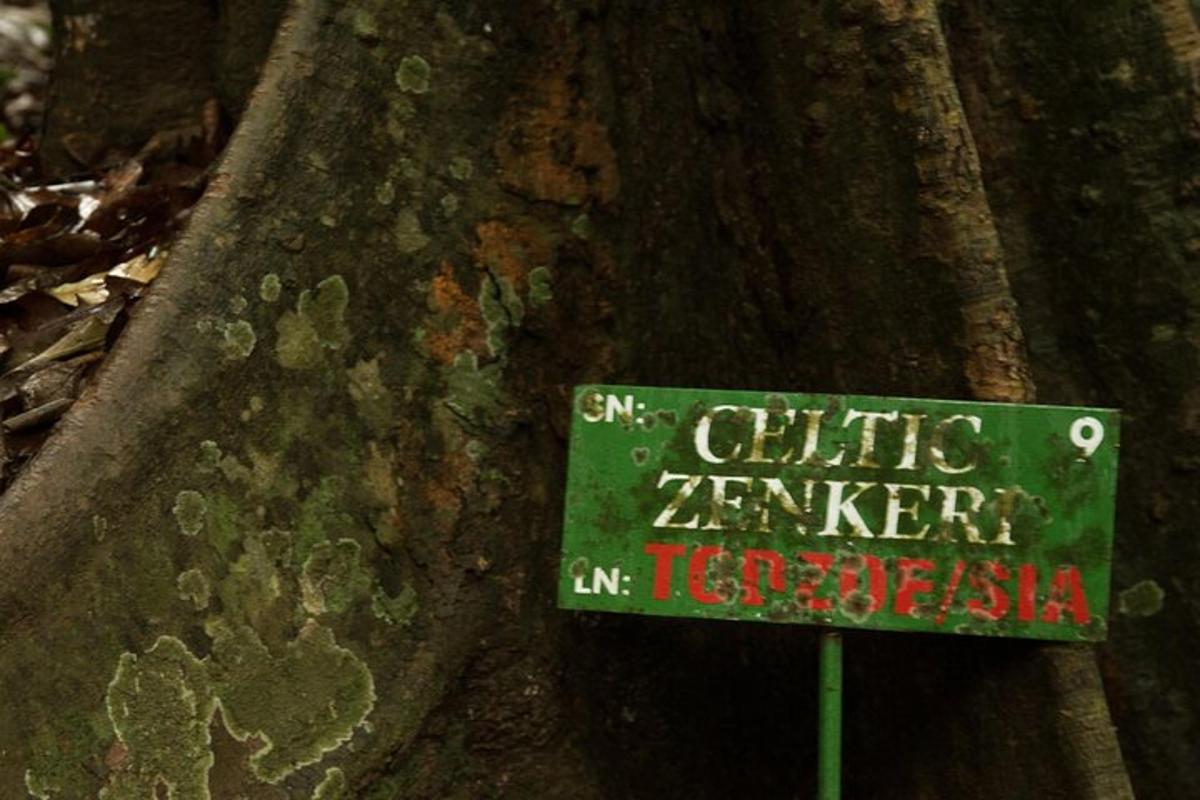 uma placa verde na lateral de uma árvore