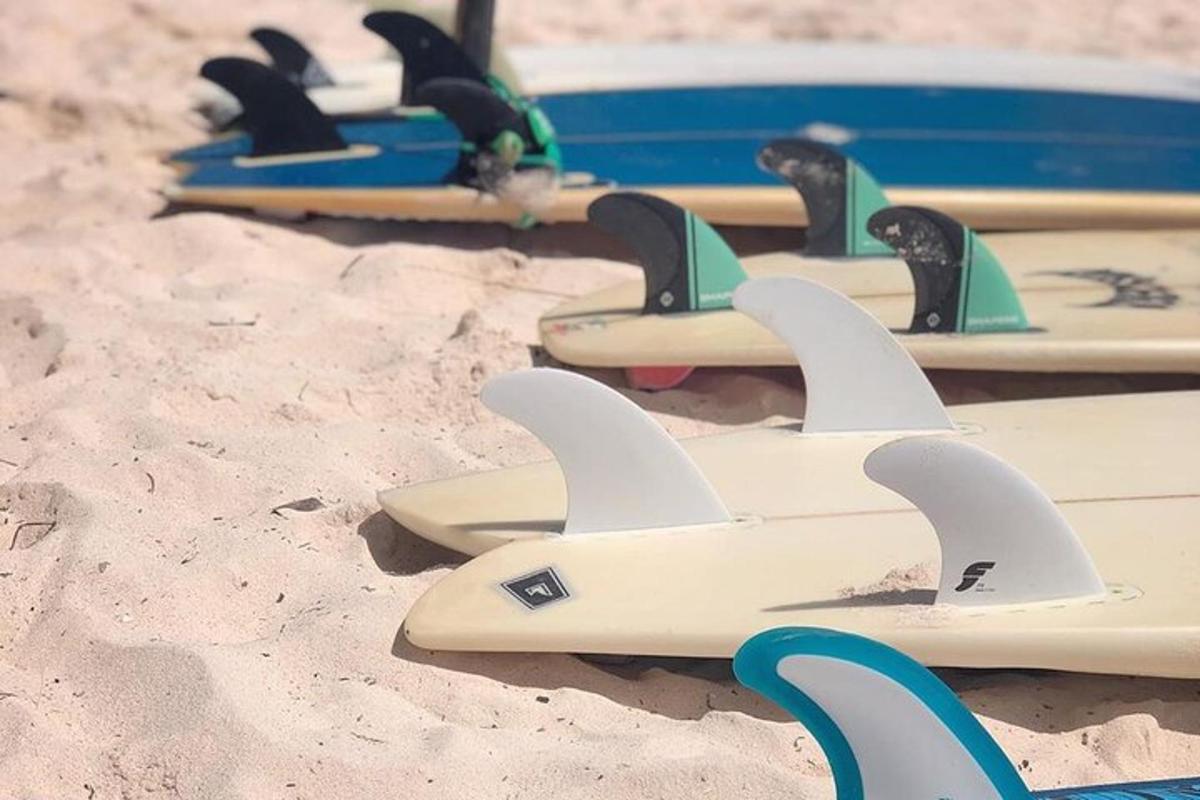 a row of surfboards in the sand on a beach