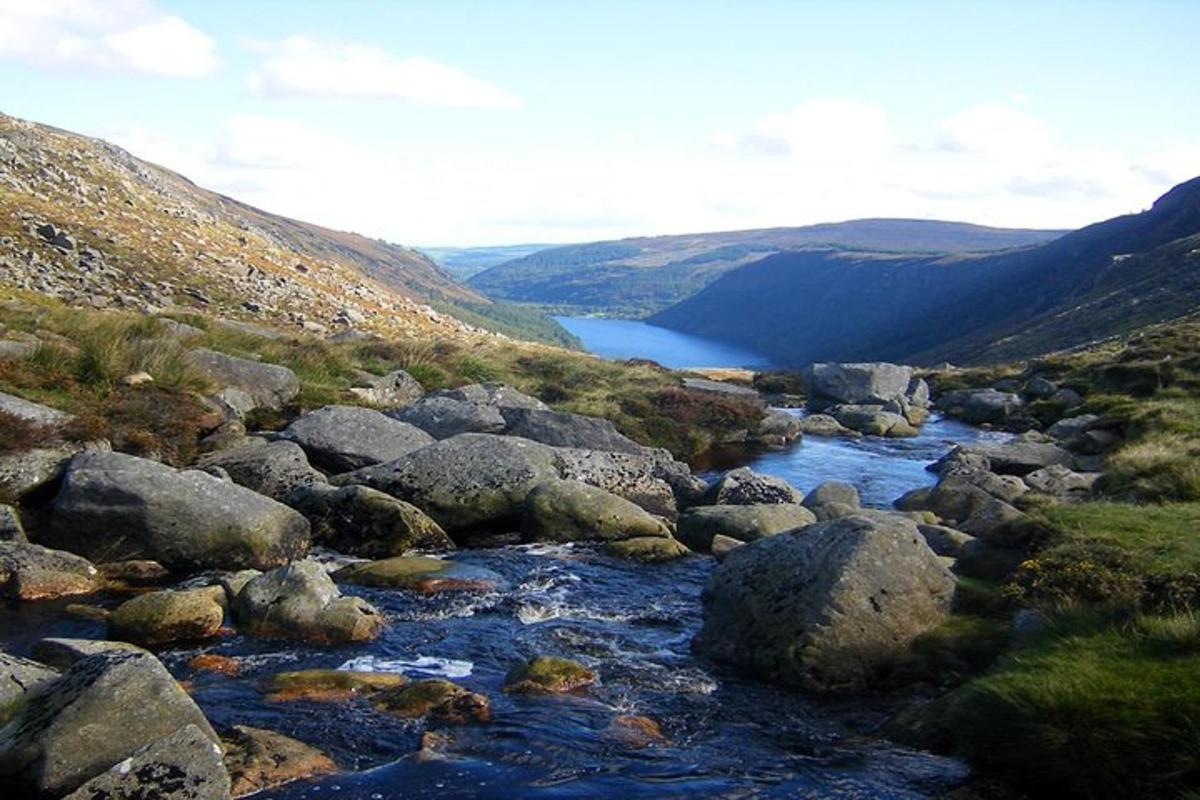 un corso d'acqua con rocce e una montagna