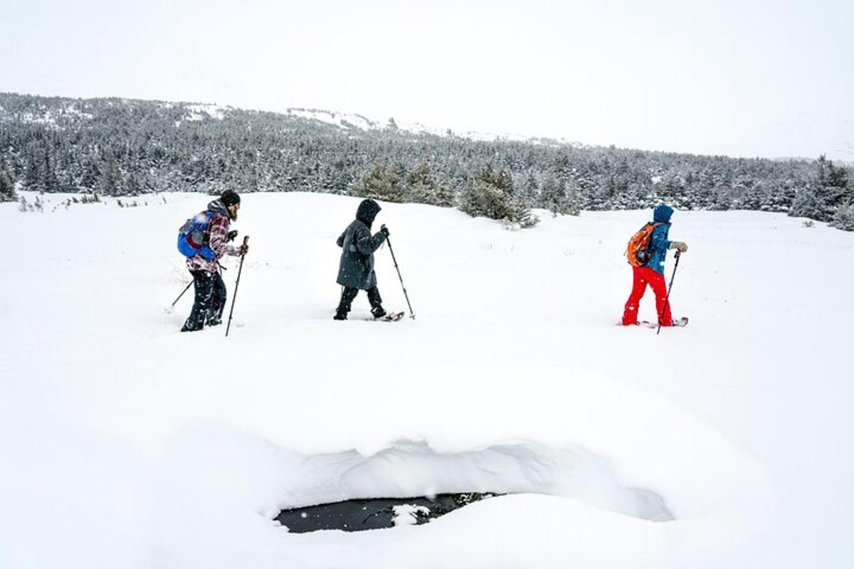 tiga orang berdiri di atas salji di atas ski