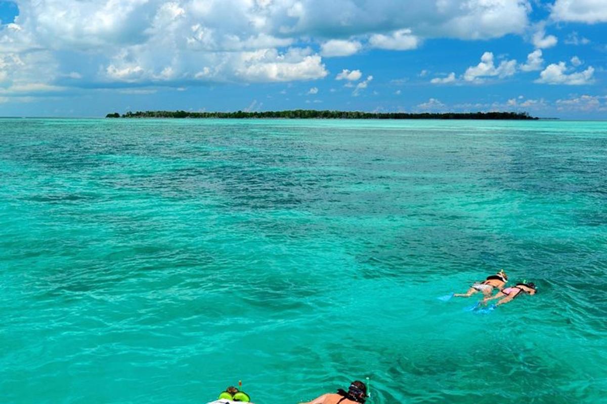 two people swimming in the water in the ocean