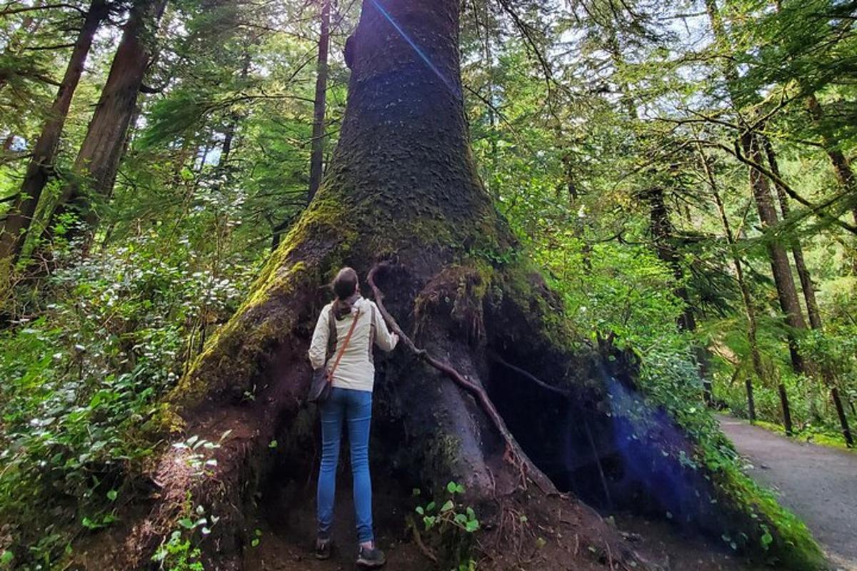 a woman standing next to a tree in the woods