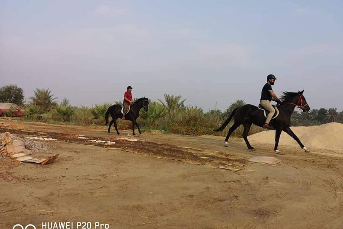 hai người cưỡi ngựa trên con đường đất