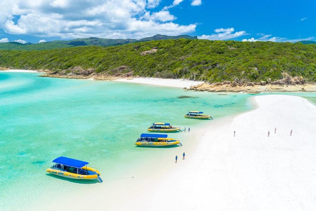 a group of boats on a beach in the ocean