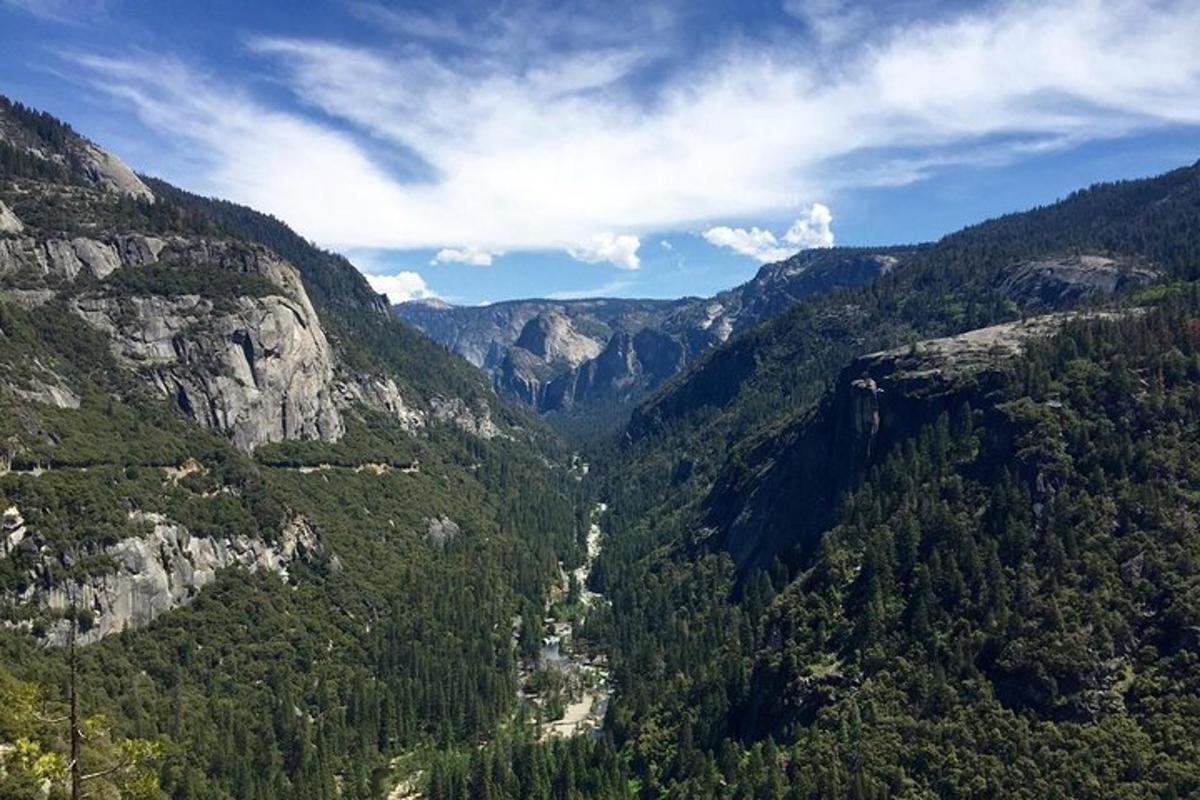 a view of a canyon with trees and mountains