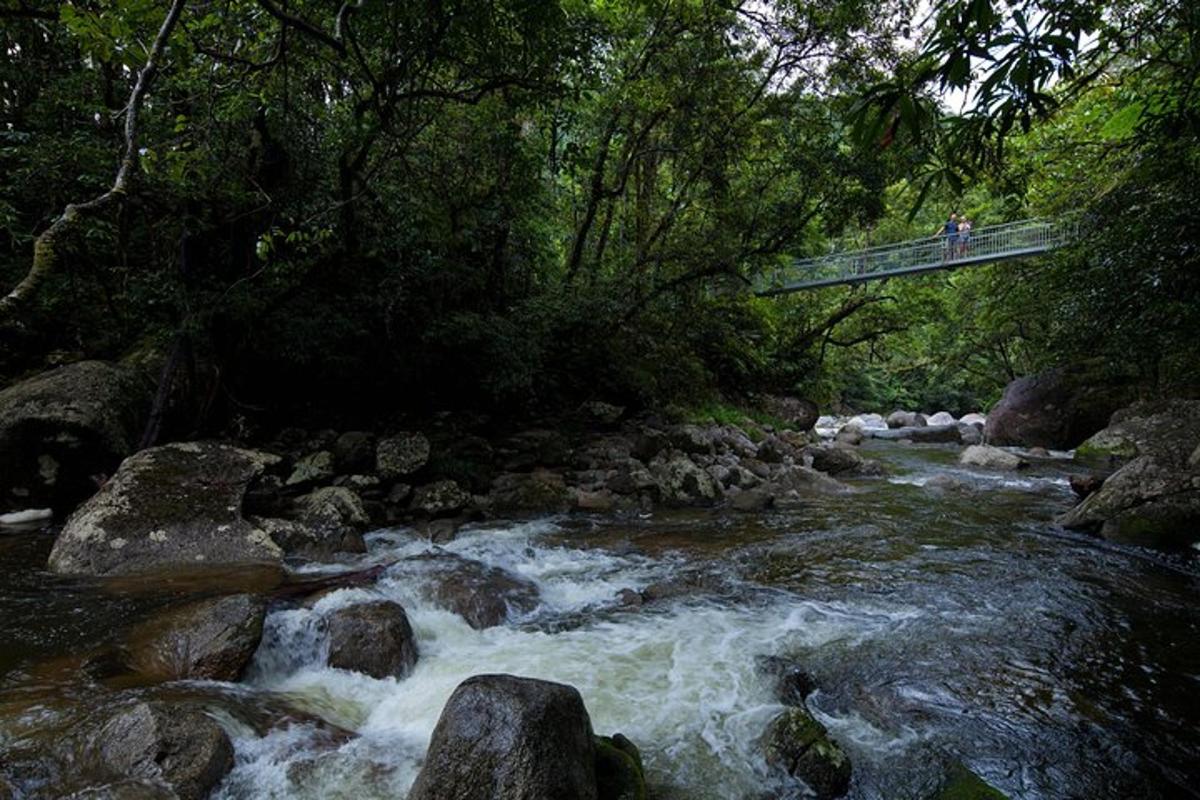 eine Brücke über einen Fluss mit einer Person, die darauf geht