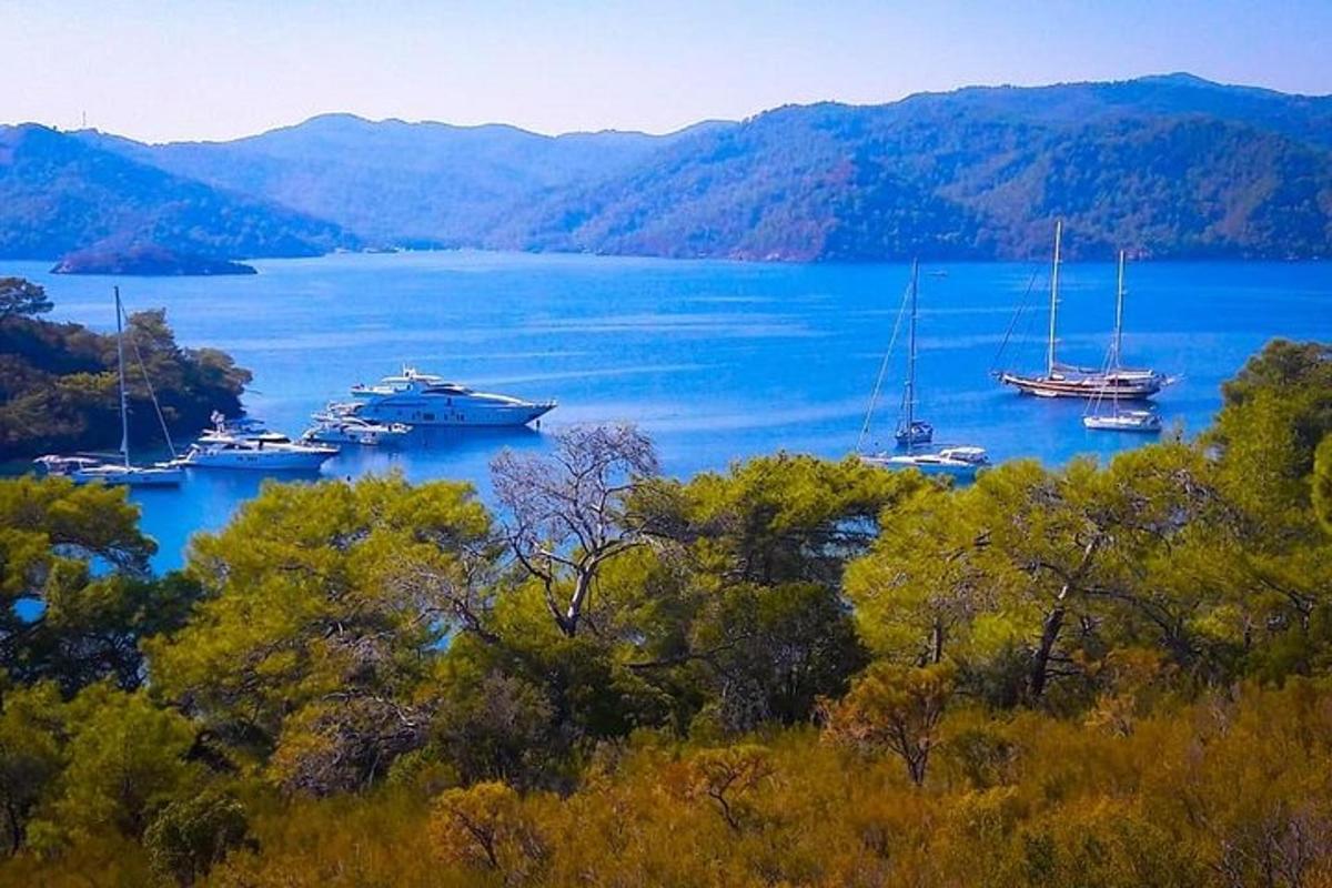 一大片水域中的一群船