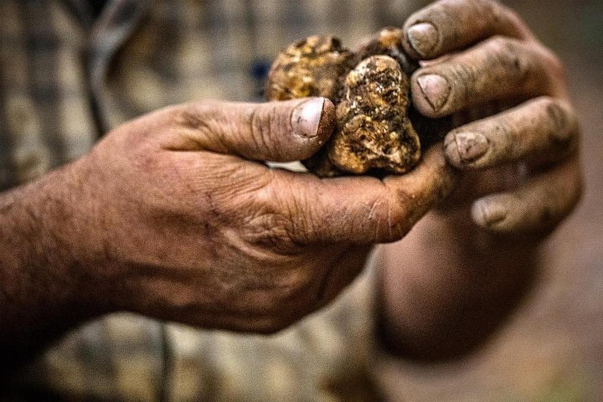 a person holding a handful of food in their hands