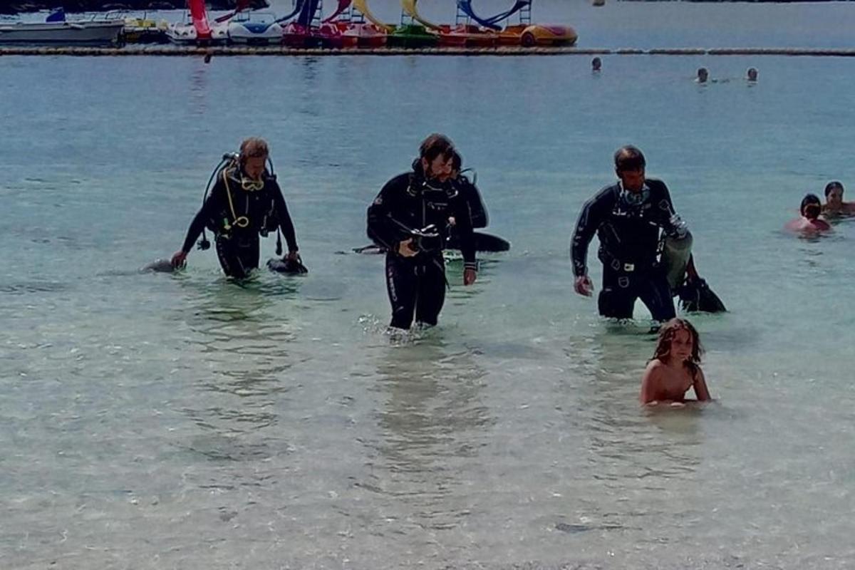 Un grupo de personas en el agua en una playa