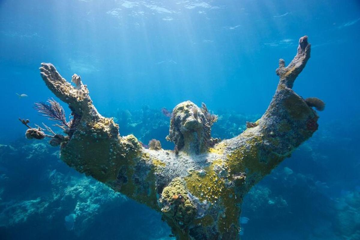 a person swimming in the ocean with their hands in the water