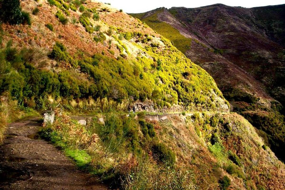 Un camino de tierra en una colina con árboles.