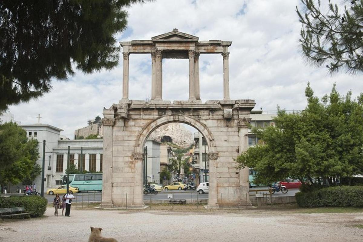 un cane seduto davanti a un arco in un edificio