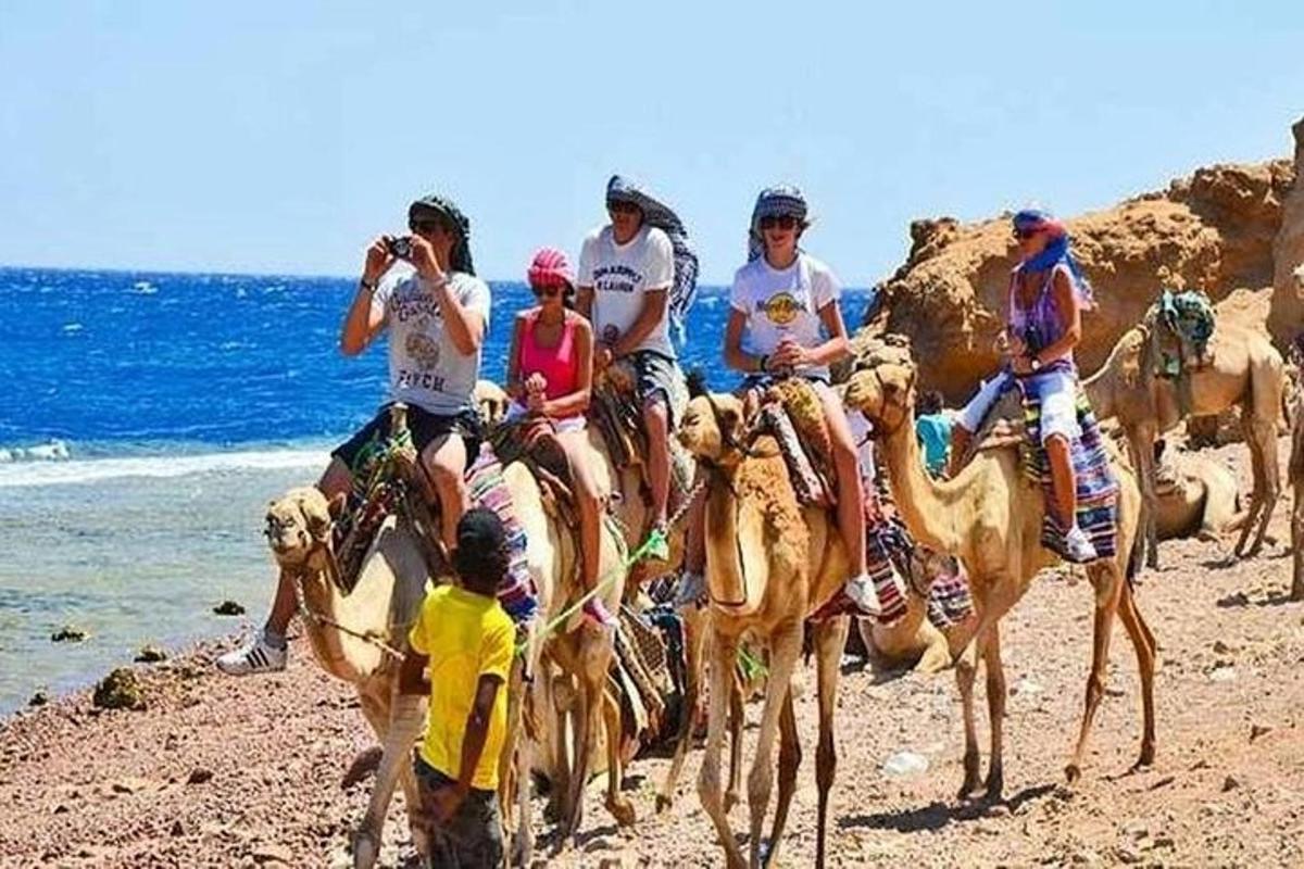 skupina ljudi, ki jahajo kamele na plaži