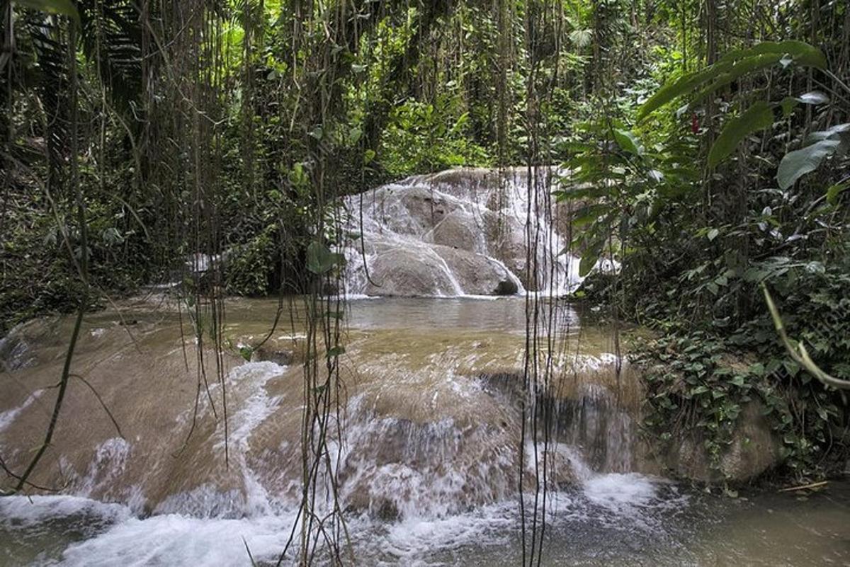 air terjun di tengah-tengah sungai di hutan