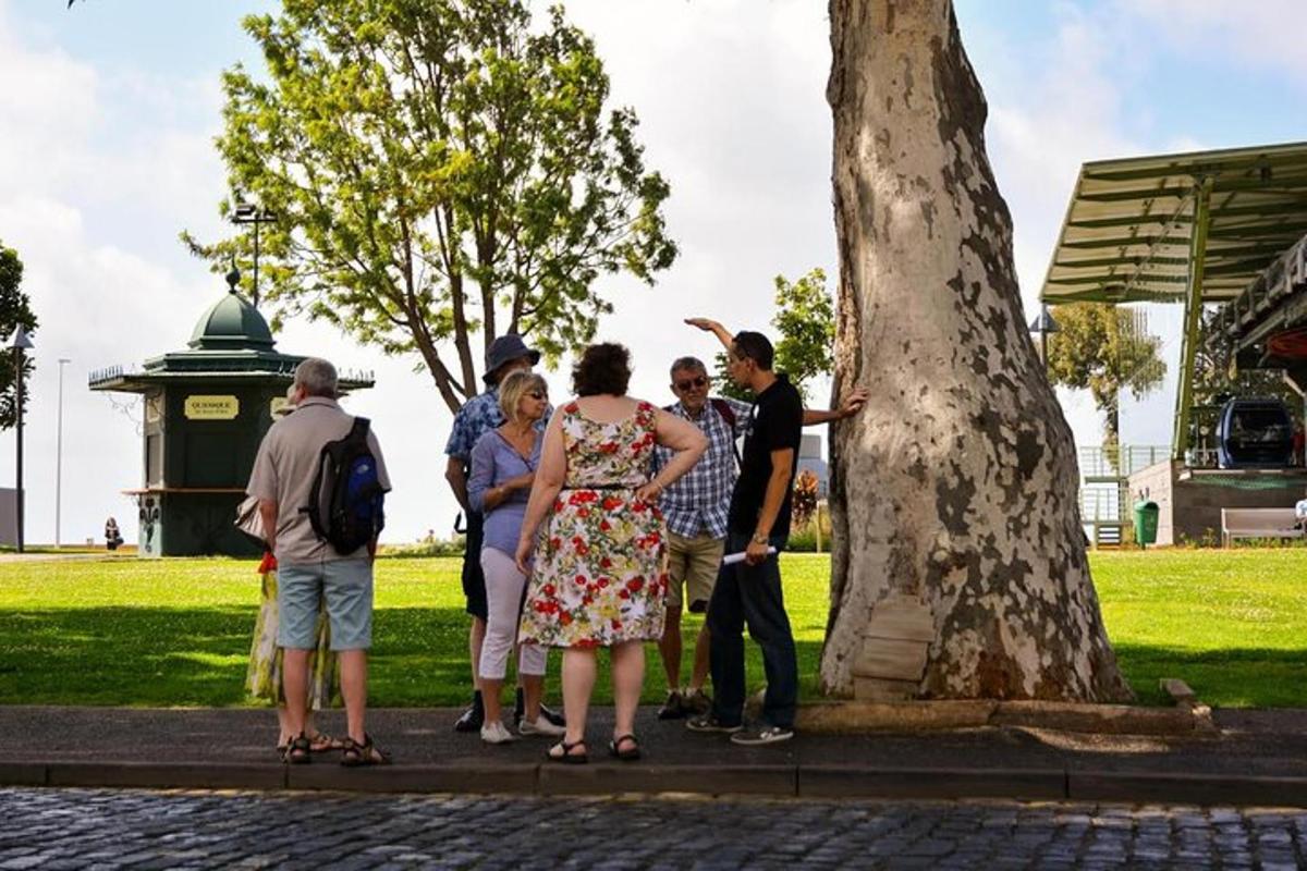 Fotografia da atração 3