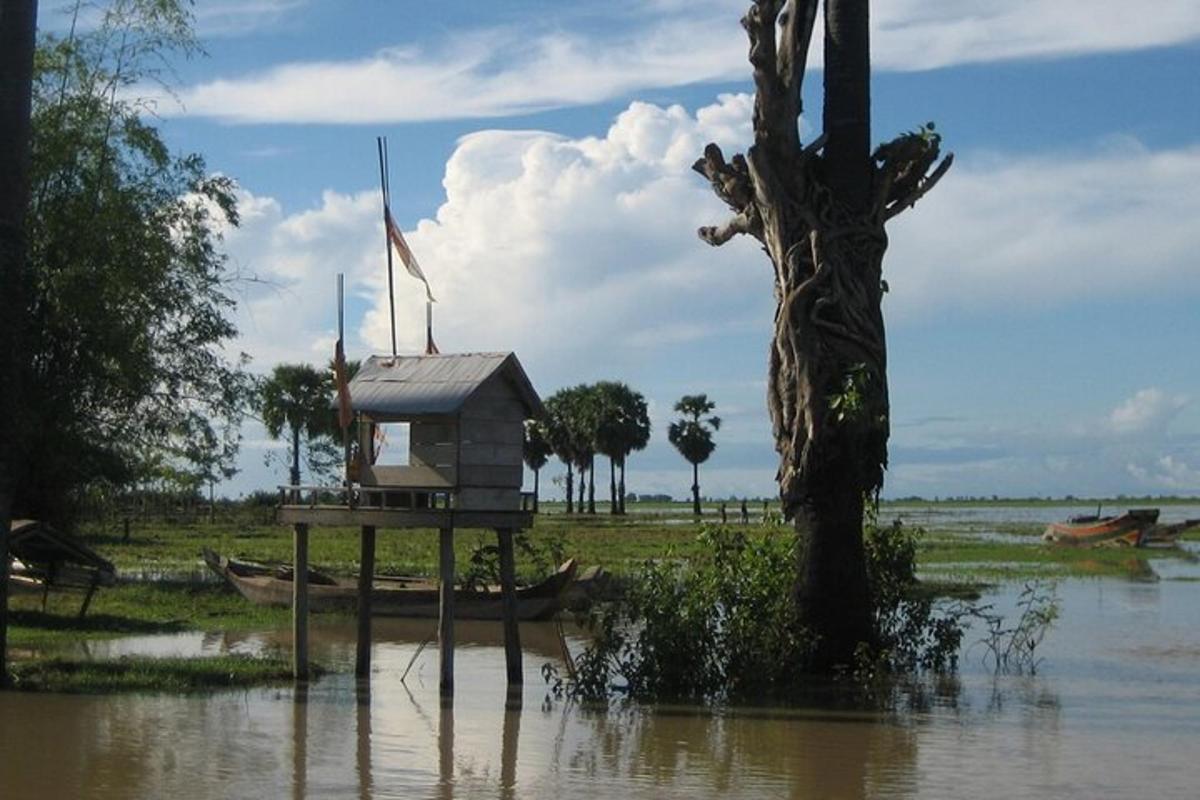 una casa su una piattaforma nell'acqua accanto a un albero