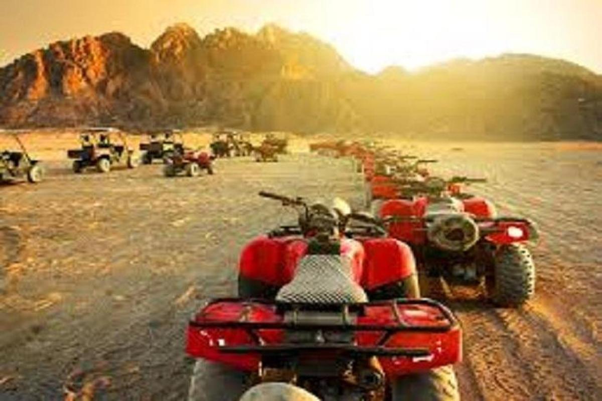 a row of motorcycles parked on a dirt road