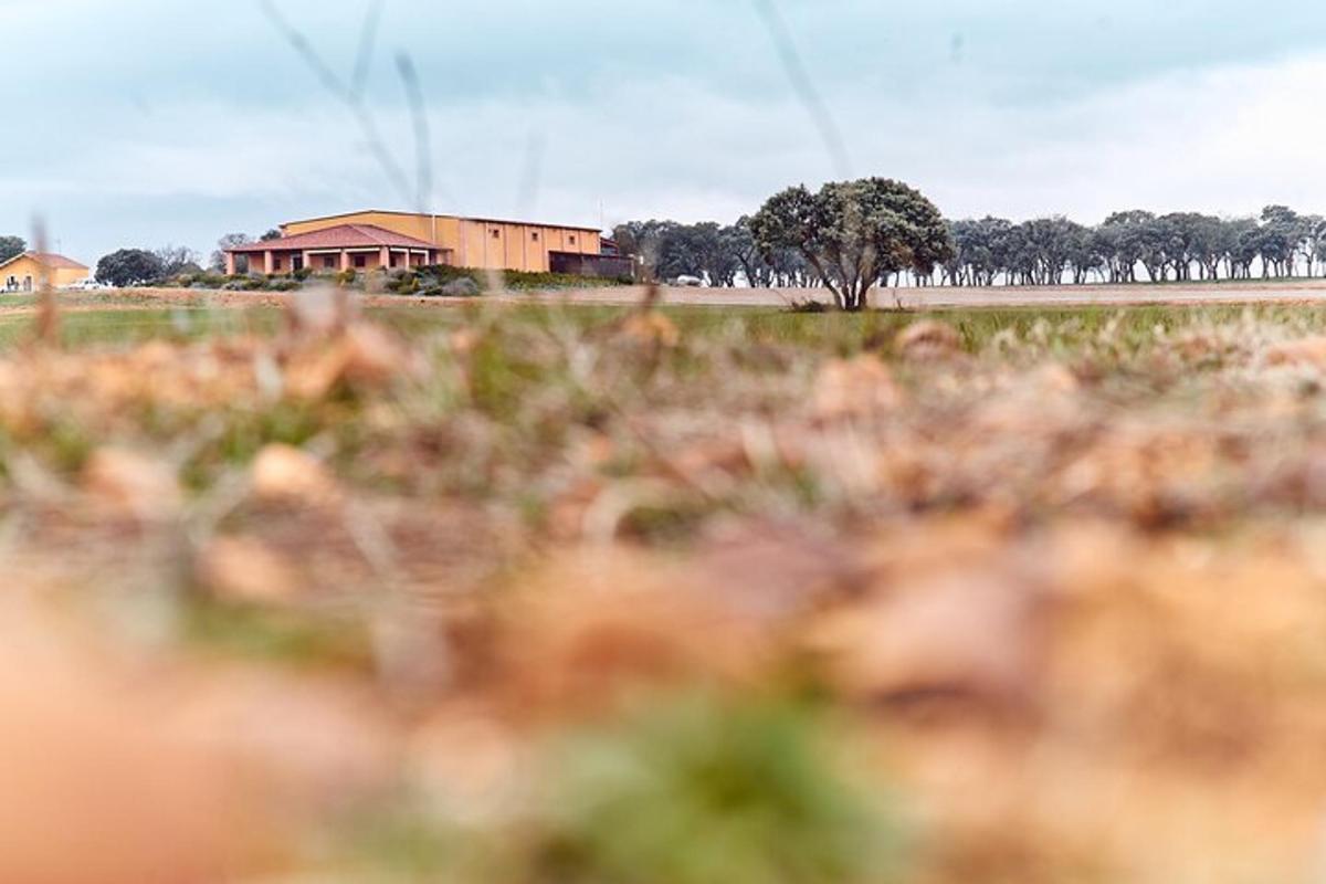 a field with a house in the background and a field with trees