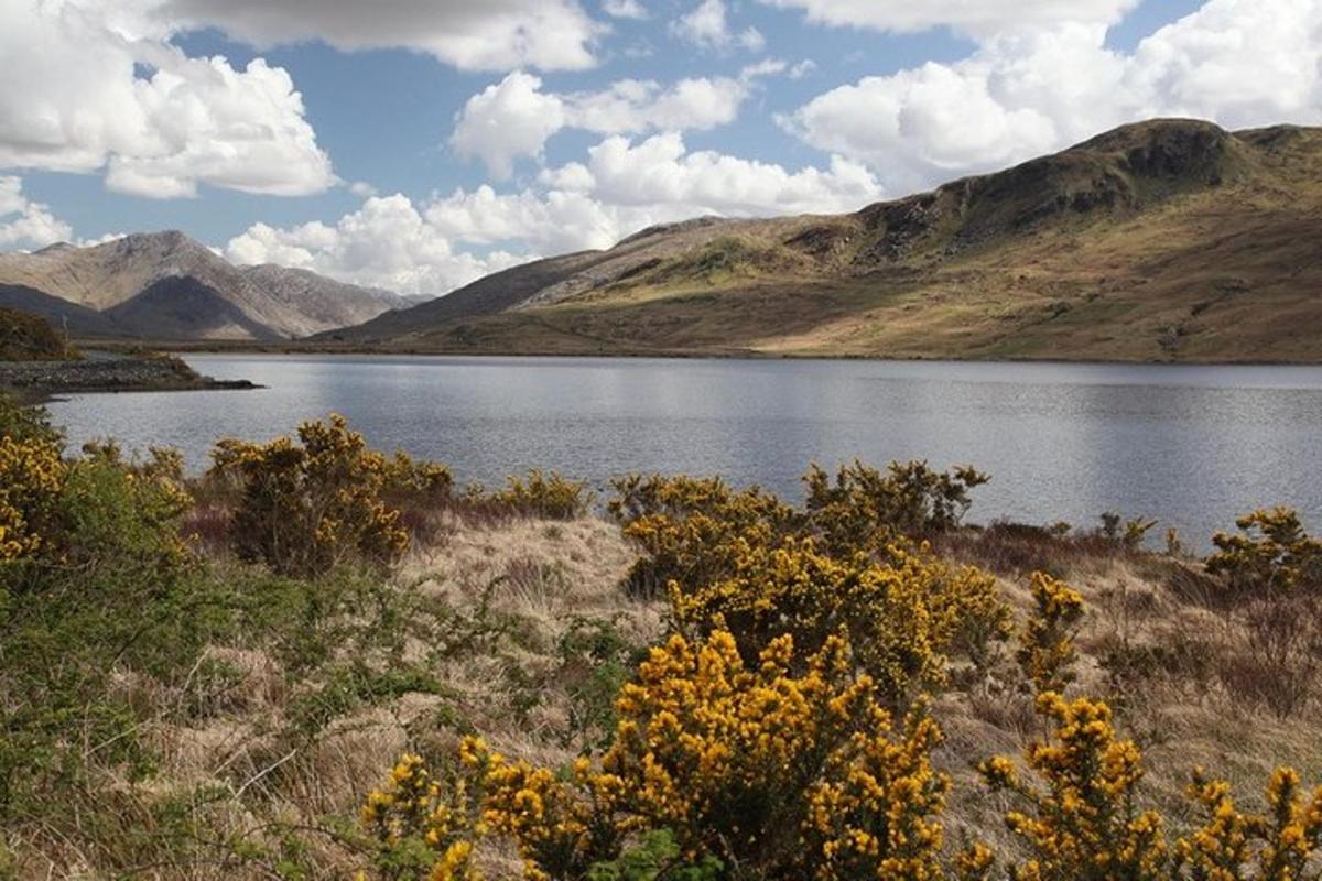 a view of a lake with mountains in the background