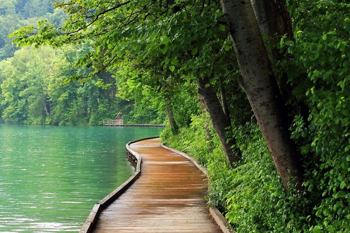 a wooden path next to a lake with trees