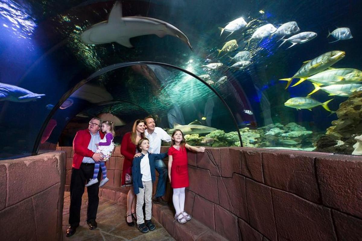 a family posing in front of an aquarium